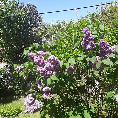 Gretl - Residence بارشينيس المظهر الخارجي الصورة