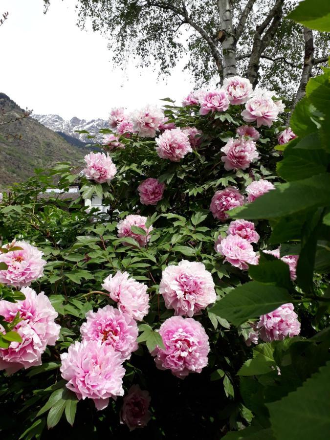 Gretl - Residence بارشينيس المظهر الخارجي الصورة